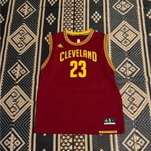 NBA Cleveland Cavaliers LeBron James basketball jersey awesome colors